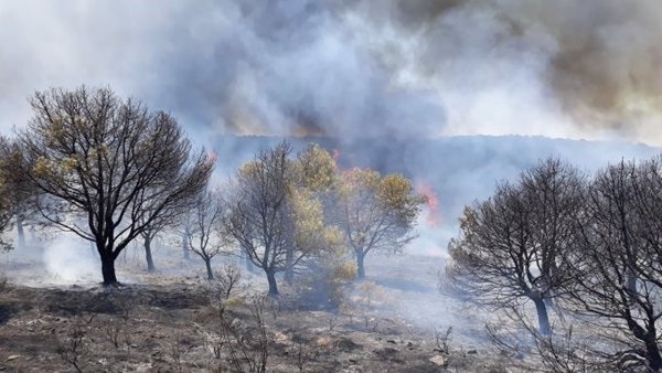 Al menos 53 personas heridas por los fuertes incendios en el sur de Turquía