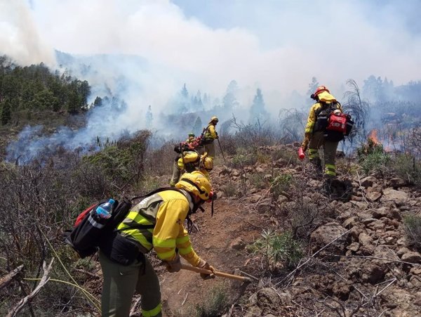 El Gobierno refuerza la dotación de medios para luchar contra los incendios forestales