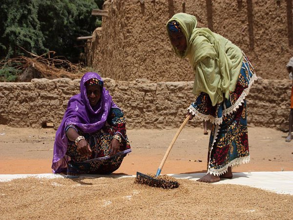 La Cooperación Española y el Banco Mundial financiarán en Níger un proyecto para la alimentación de 14.000 familias