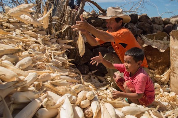 ONG advierten de las barreras que COVID-19 y cambio climático suponen para el desarrollo de los pueblos indígenas