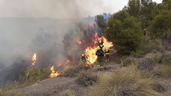 El Infoca sigue trabajando con 25 bomberos para controlar el incendio de Caniles (Granada)