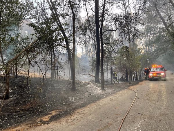 Guardia Civil abre investigación sobre el origen del incendio de Batres (Madrid) como intencionado o imprudente