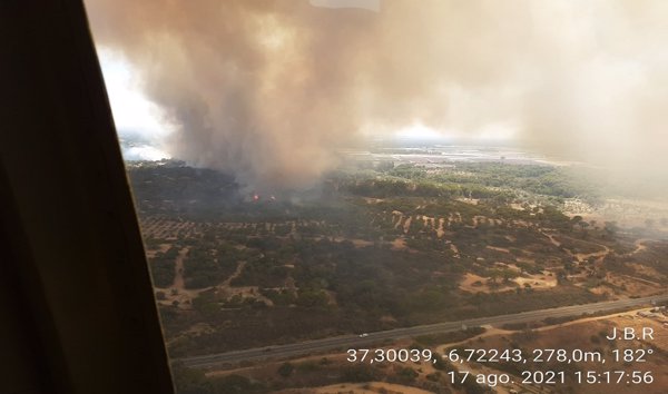 Activado el nivel 1 de alerta por el incendio de Lucena (Huelva) y desalojan el núcleo oriental