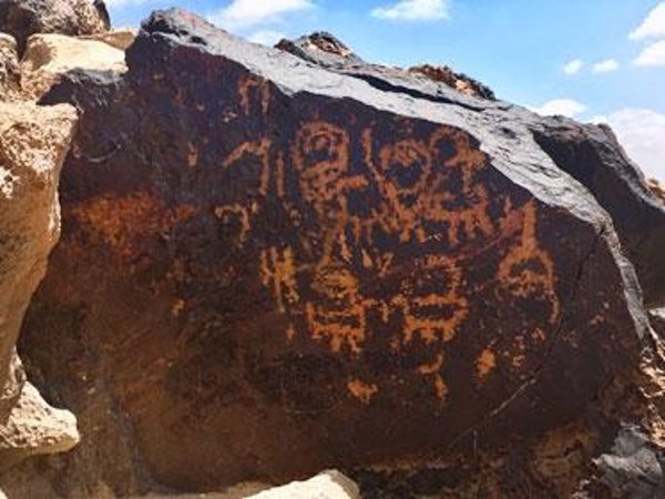 Investigadores analizan cómo la colonización biológica de las rocas afecta a la conservación de los petroglifos