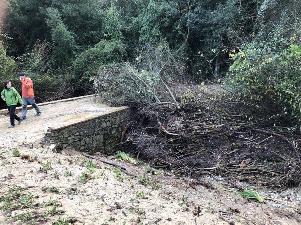 El calor activa este sábado avisos en todas las Islas Canarias y se esperan tormentas fuertes en Cataluña y C.Valenciana