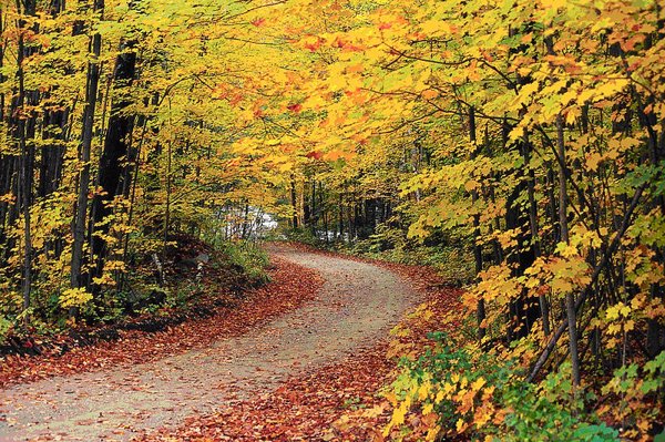 El otoño llegará este miércoles 22 de septiembre a las 21.21 horas