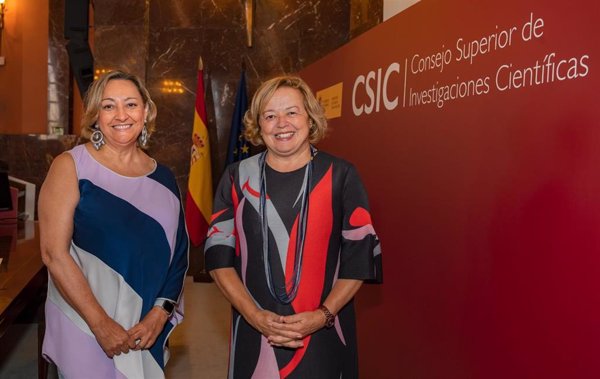 El CSIC lanza 'Conexión-Cáncer', una red que aglutina toda la investigación en cáncer de la institución