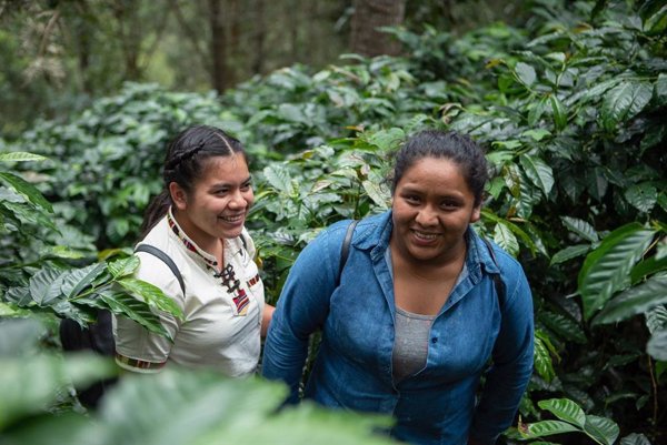 Verdadero Café lanza el primer café producido íntegramente por mujeres y sin intermediarios