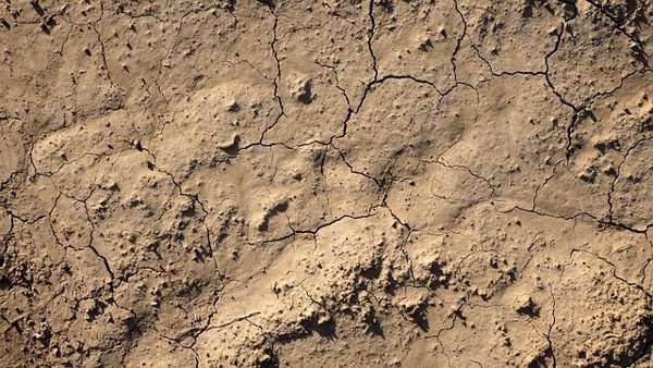 Los regantes piden obras de regulación y regadíos para mitigar las sequías y evitar la erosión del suelo