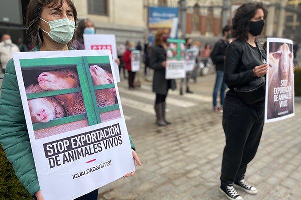Igualdad Animal se manifiesta hoy en la Puerta del Sol contra el 