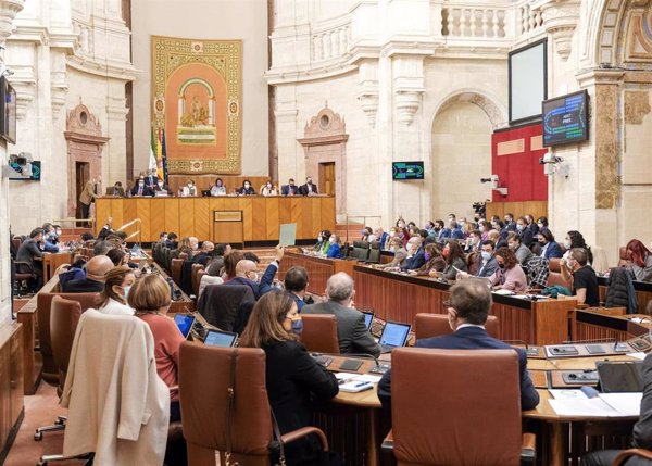 Vox se suma a PSOE y Unidas Podemos en el rechazo a pedir al Gobierno central más dotación en infraestructuras andaluzas