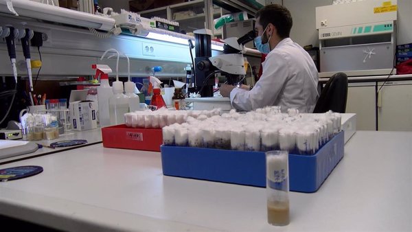El CSIC, tercera institución europea en número de proyectos obtenidos del programa de I+D+i Horizonte 2020