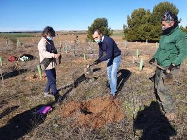 GSK planta 250 árboles y arbustos para contribuir a la reducción de CO2 en la atmósfera