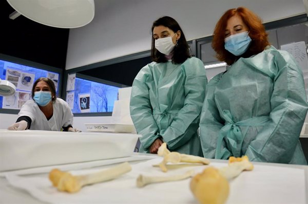 Llop celebra la elaboración de una guía de actuación forense ante víctimas de sumisión química