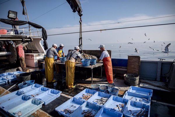 Unos 2.600 pescadores recogieron más de 190.000 kilos de basura de los fondos marinos españoles en 2021, un 6% más