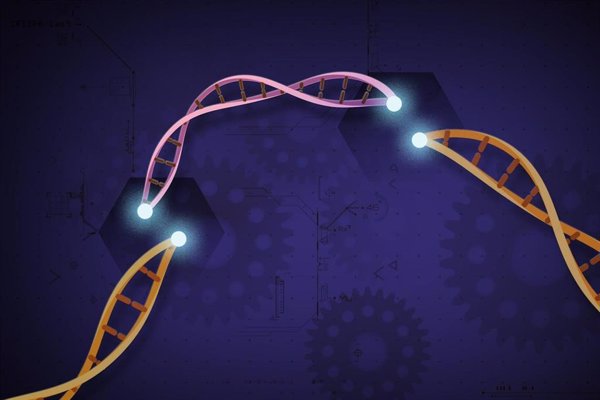 Desarrollan una nueva técnica con CRISPR que abre posibles vías de curación del VIH
