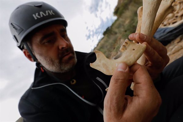 Descubren cientos de restos humanos pertenecientes a los habitantes prehistóricos de Santomera en una cueva sepulcral