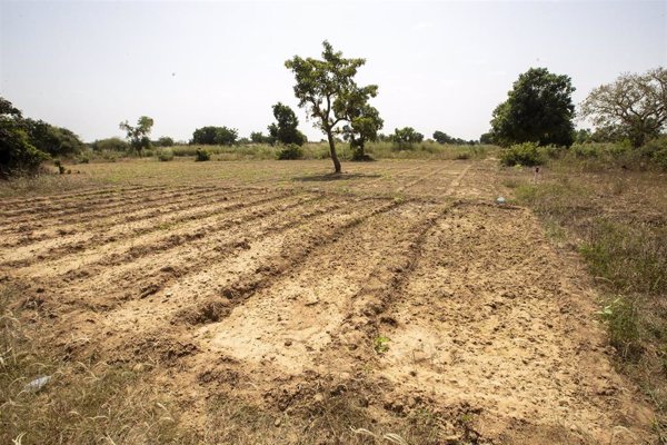 El CICR alerta del agravamiento de la crisis alimentaria por el conflicto y la sequía en el Sahel