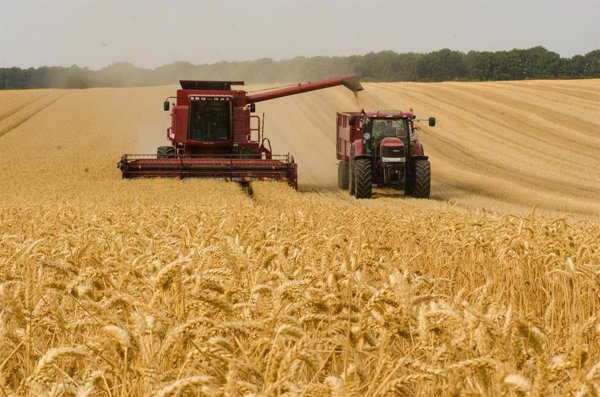 Bruselas propone reasignar fondos para pago único de hasta 15.000 a agricultores afectados por altos precios