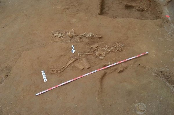 Descubren restos óseos de un joven del periodo almohade en las catas previas a una obra en Sevilla
