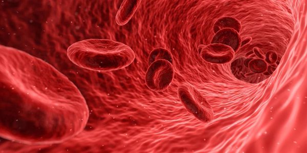 Los pacientes con bronquiectasia y mayor presencia de neutrófilos en sangre evolucionan peor, según un estudio