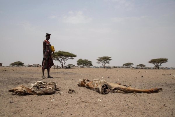 La ONU alerta de una crisis alimentaria generalizada agravada por los conflictos, la COVID-19 y la guerra ucraniana