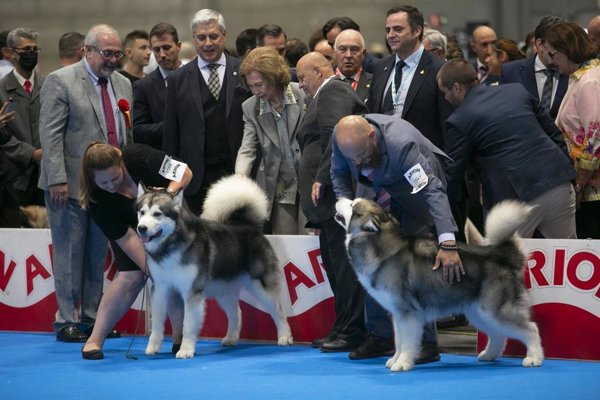 La Reina Sofía inaugura el World Dog Show en el que participarán 16.500 perros de todo el mundo