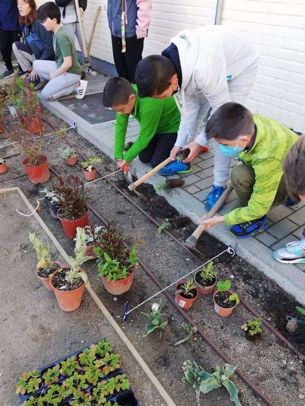 El Real Jardín Botánico-CSIC impulsa jardines escolares sostenibles en 5 centros educativos de la Comunidad de Madrid