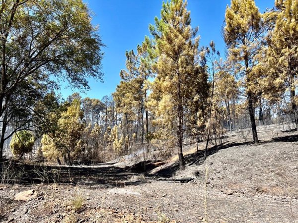 Extremadura da por controlado el incendio de Santibáñez el Alto y desactiva el nivel 1 de peligrosidad
