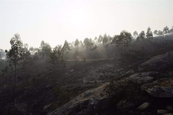 Estabilizado el incendio de O Irixo (Ourense), con 680 hectáreas afectadas, y controlado el de Boborás