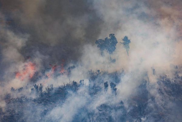 El incendio de Bejís afecta a un perímetro de 120 kilómetros y amenaza el parque natural de Sierra Calderona