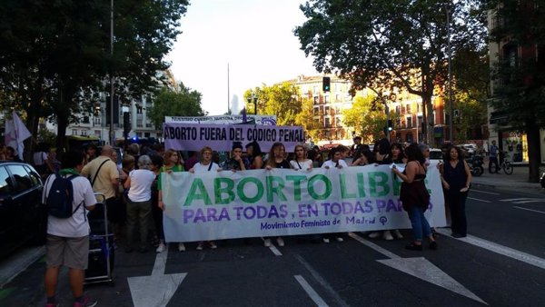 Feministas celebran la nueva ley del aborto y piden aprovechar su tramitación para sancionar la gestación subrogada
