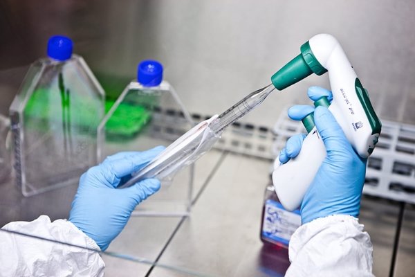 Retirado del mercado un lote de huevo entero líquido pasteurizado procedente de Marchena (Sevilla) por salmonella