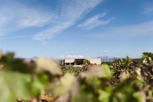La bodega Campo Viejo obtiene la certificación WfCP 'Spanish Wineries for Emission Reduction'