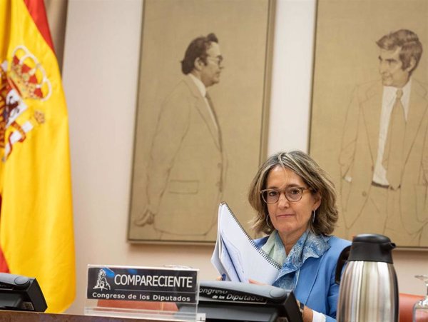 El Congreso avala la idoneidad de María Jesús Martín para ser consejera de la CNMC