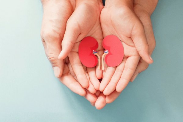 Hasta 35.000 personas trasplantadas de riñón participan en un proyecto sobre calidad de vida impulsado por ALCER en 2022