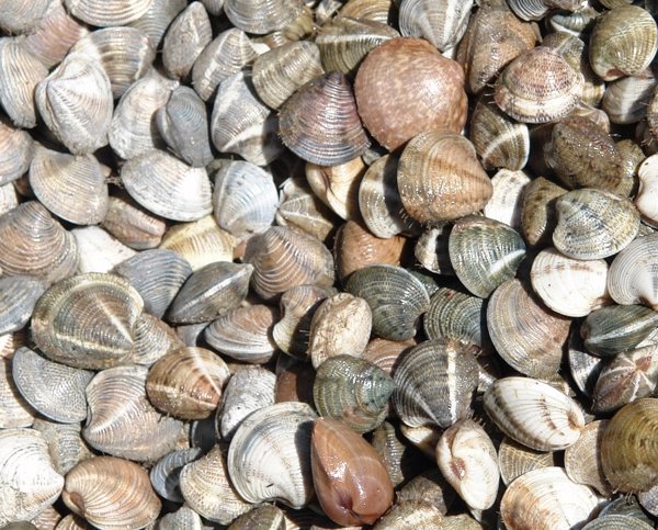 Pescadores andaluces se sienten 