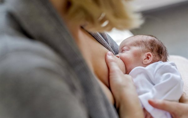 Un estudio apunta que la lactancia de los bebés se acorta si empiezan a probar comida sólida