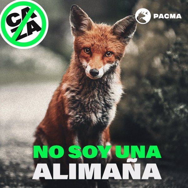 PACMA lanza una campaña contra la caza del zorro en la que compara los cazadores con 