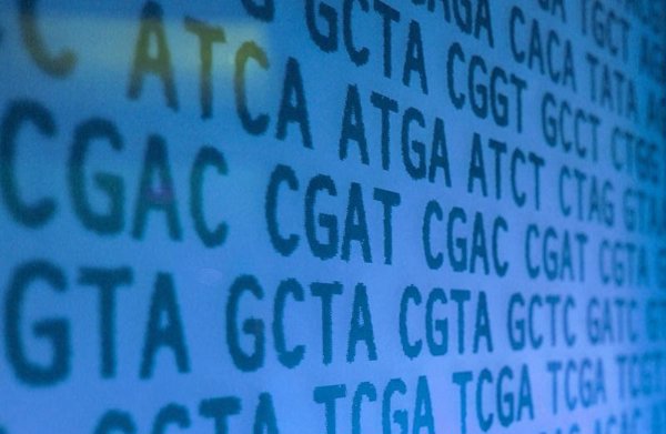 Expertos creen que las nuevas técnicas de edición génica permitirán diseñar una terapia CAR-T 