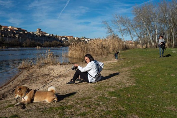 La ley que prohibe vender animales en tienda y obliga a hacer un curso para tener perro, en vigor el 29 de septiembre
