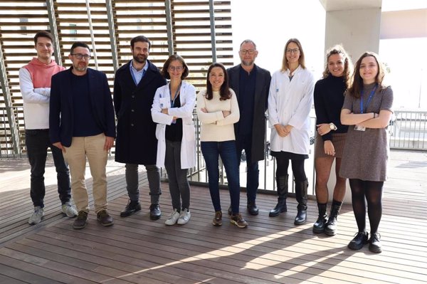 Validan una terapia que supera un mecanismo de resistencia a la quimioterapia en cáncer de colon y recto