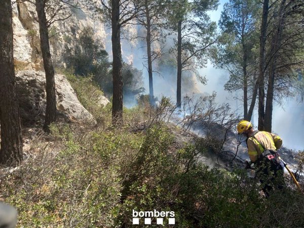 Estabilizado el incendio forestal en Gandesa (Tarragona) tras quemar dos hectáreas