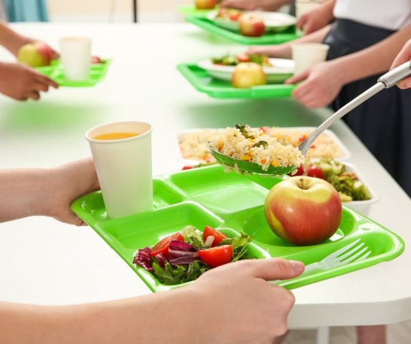 La contaminación cruzada por utensilios de cocina en comedores escolares es 