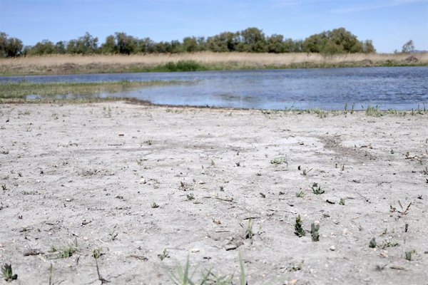 BBVA apuesta por acciones de conservación y restauración de ecosistemas para contar con una biodiversidad sana
