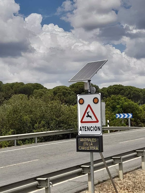 Andalucía instala un dispositivo único en España para evitar el atropello de animales