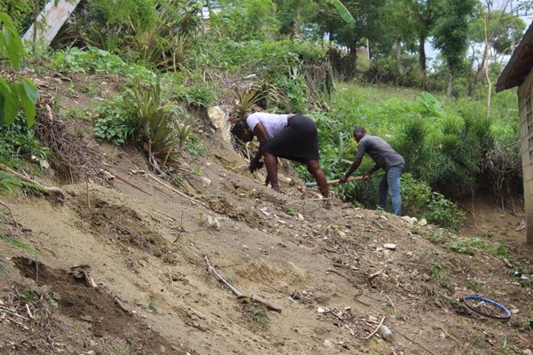 Manos Unidas trabaja en la reforestación de Haití para paliar el cambio climático y la pobreza