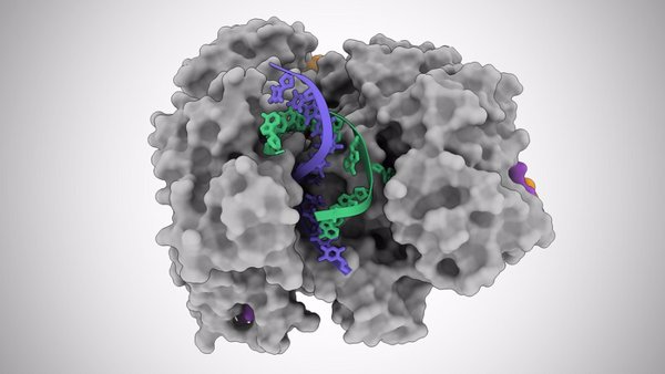 Una técnica de edición genética podría acelerar el estudio de las mutaciones del cáncer, según un estudio