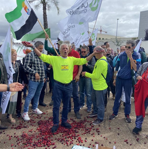 Cereceros del norte de Cáceres se concentran en Mérida para reclamar ayudas tras pérdidas de 70 millones