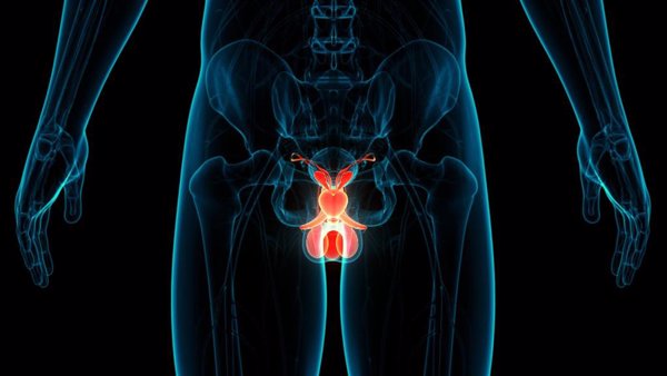 Expertos en cáncer de próstata inciden en la importancia de las revisiones periódicas para la detección precoz